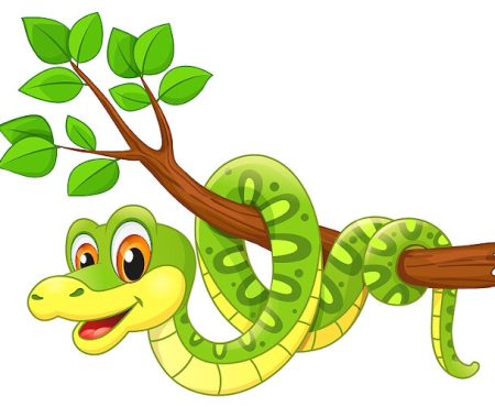 SERPIENTES ENCANTADORAS